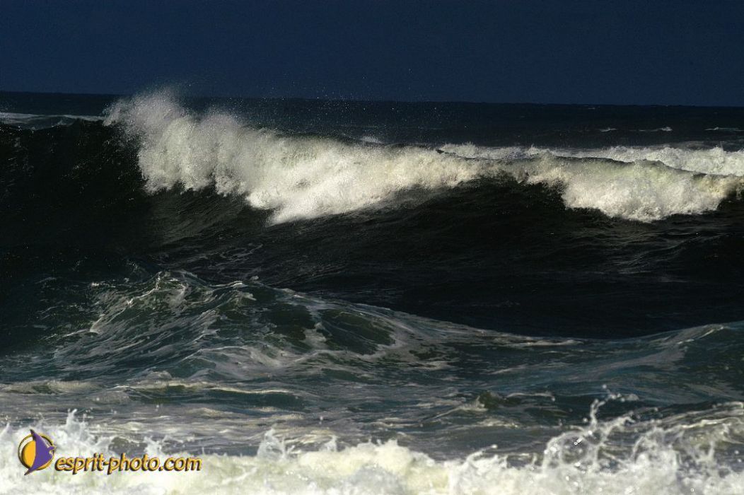 Nom de l'image : EP08-0365_(c)Norbert-JUNG — Description :